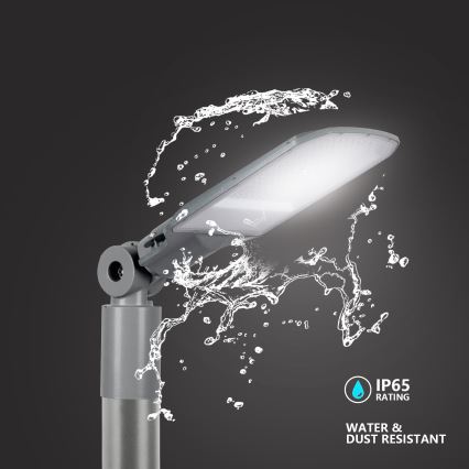 Brilagi - LED gatvės šviestuvas URBANLIGHT LED/100W/230V pilkas IP65