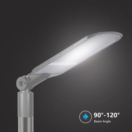 Brilagi - LED gatvės šviestuvas URBANLIGHT LED/200W/230V pilkas IP65