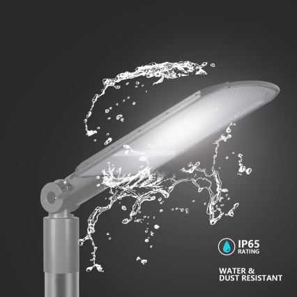 Brilagi - LED gatvės šviestuvas URBANLIGHT LED/200W/230V pilkas IP65