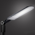 Brilagi - LED gatvės šviestuvas URBANLIGHT LED/250W/230V juodas IP65