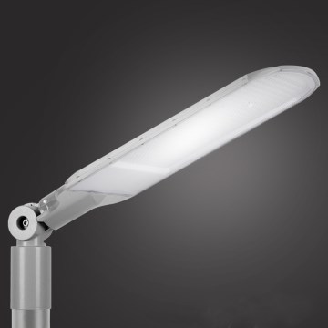 Brilagi - LED gatvės šviestuvas URBANLIGHT LED/250W/230V pilkas IP65