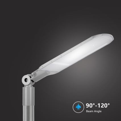 Brilagi - LED gatvės šviestuvas URBANLIGHT LED/250W/230V pilkas IP65