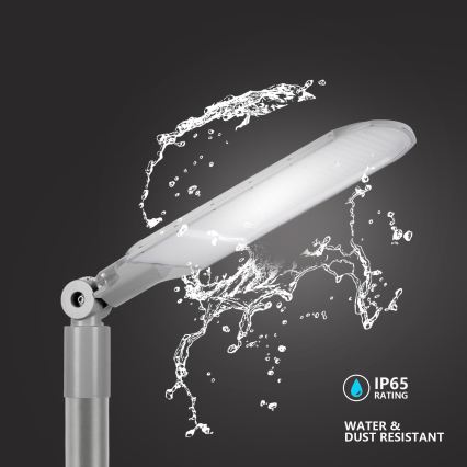 Brilagi - LED gatvės šviestuvas URBANLIGHT LED/250W/230V pilkas IP65
