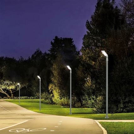Brilagi - LED gatvės šviestuvas URBANLIGHT LED/50W/230V pilkas IP65