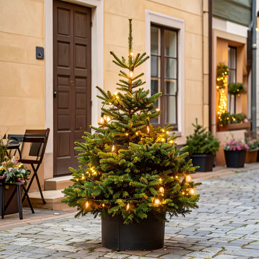 Brilagi - LED lauko girlianda 10xLED/3xAA 3,2 m IP44 šiltai balta