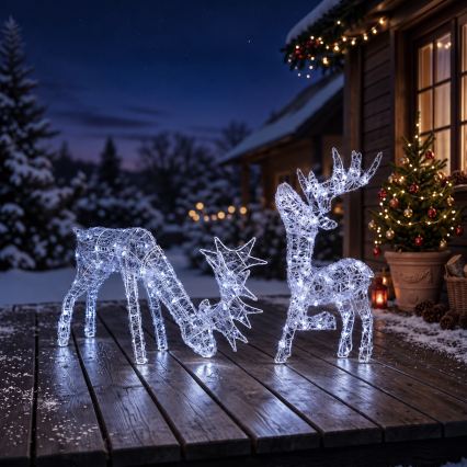 BRILAGI - LED Lauko kalėdinė dekoracija LED/3,3W/230V IP44 60x37 cm šiaurinis elnias