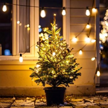 Brilagi - LED Lauko kalėdinė girlianda 10xLED/3xAA 3,2m IP44 šiltai balta