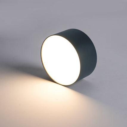 BRILAGI - LED lauko lubinis šviestuvas FORIS LED/14W/230V skersmuo 12 cm antracitas IP44