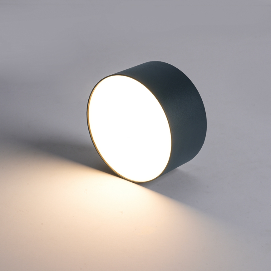 BRILAGI - LED lauko lubinis šviestuvas FORIS LED/14W/230V skersmuo 12 cm antracitas IP44