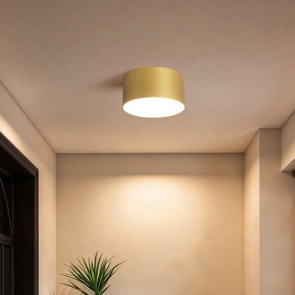 BRILAGI - LED Lauko lubinis šviestuvas FORIS LED/14W/230V Ø 12 cm auksinis IP44