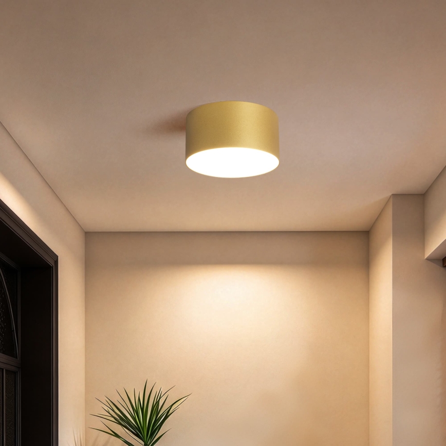 BRILAGI - LED Lauko lubinis šviestuvas FORIS LED/14W/230V Ø 12 cm auksinis IP44