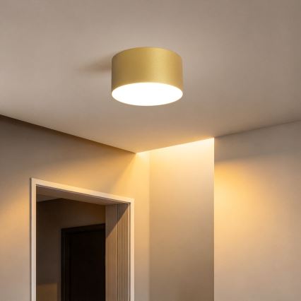 BRILAGI - LED Lauko lubinis šviestuvas FORIS LED/14W/230V Ø 12 cm auksinis IP44