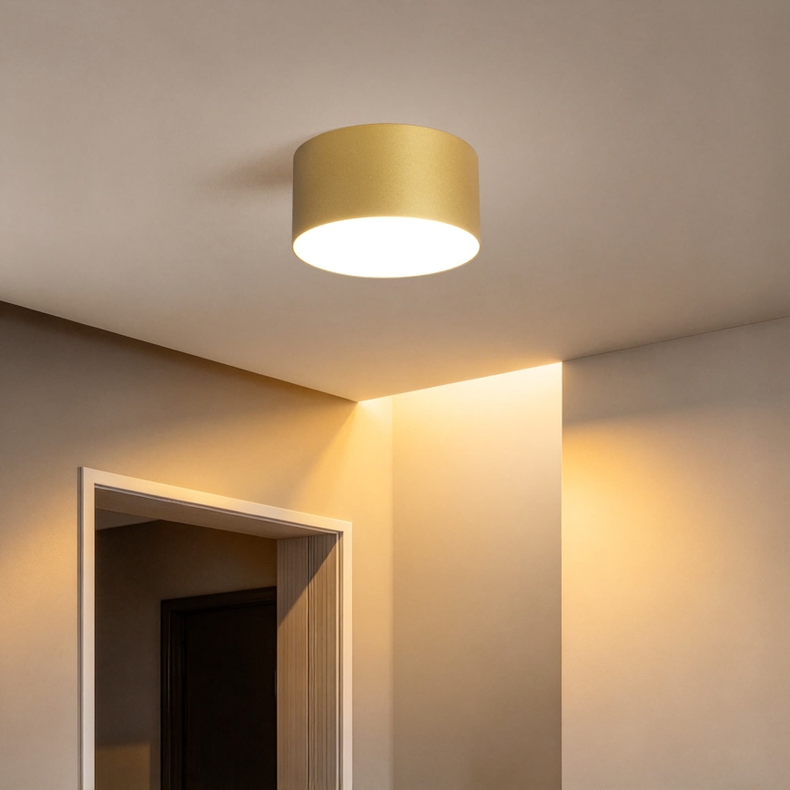 BRILAGI - LED Lauko lubinis šviestuvas FORIS LED/14W/230V Ø 12 cm auksinis IP44