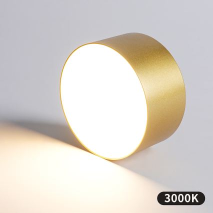 BRILAGI - LED Lauko lubinis šviestuvas FORIS LED/14W/230V Ø 12 cm auksinis IP44