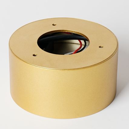 BRILAGI - LED Lauko lubinis šviestuvas FORIS LED/14W/230V Ø 12 cm auksinis IP44