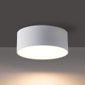 BRILAGI - LED lauko lubinis šviestuvas FORIS LED/14W/230V skersmuo 12 cm balta IP44