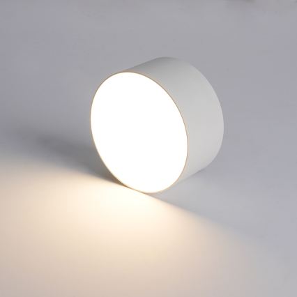 BRILAGI - LED lauko lubinis šviestuvas FORIS LED/14W/230V skersmuo 12 cm balta IP44