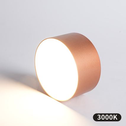 BRILAGI - LED lauko lubinis šviestuvas FORIS LED/14W/230V skersmuo 12 cm bronzinis IP44