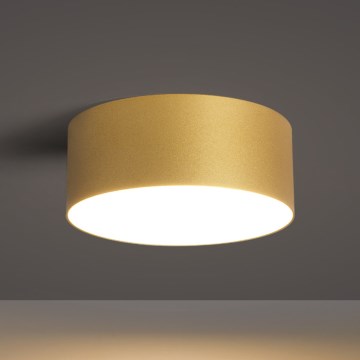 BRILAGI - LED lauko lubinis šviestuvas FORIS LED/20W/230V skersmuo 15 cm auksinis IP44