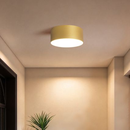 BRILAGI - LED lauko lubinis šviestuvas FORIS LED/20W/230V skersmuo 15 cm auksinis IP44