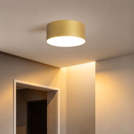BRILAGI - LED lauko lubinis šviestuvas FORIS LED/20W/230V skersmuo 15 cm auksinis IP44