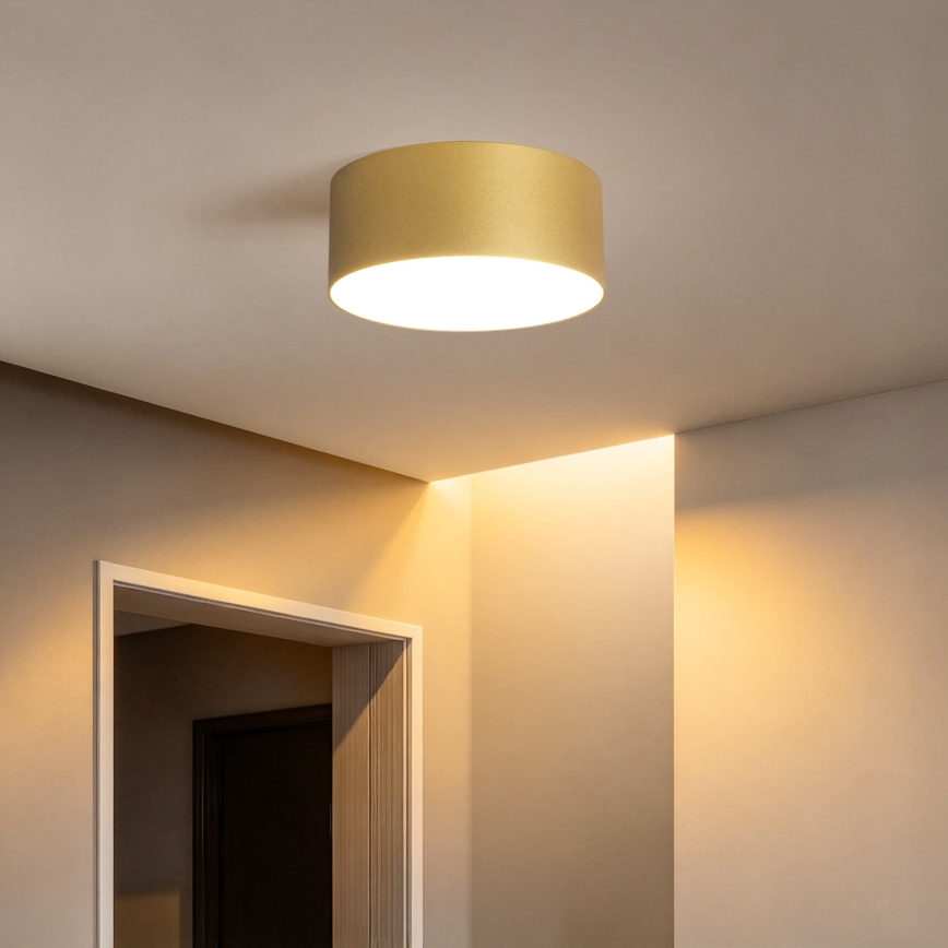 BRILAGI - LED lauko lubinis šviestuvas FORIS LED/20W/230V skersmuo 15 cm auksinis IP44