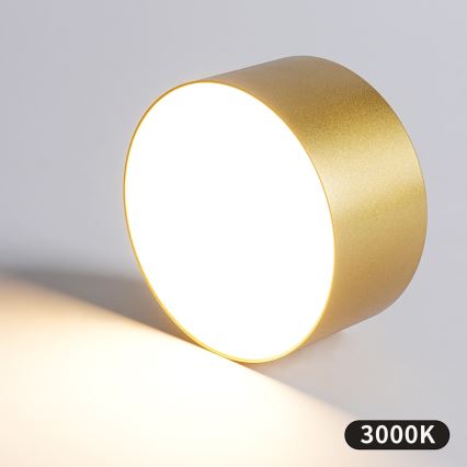 BRILAGI - LED lauko lubinis šviestuvas FORIS LED/20W/230V skersmuo 15 cm auksinis IP44