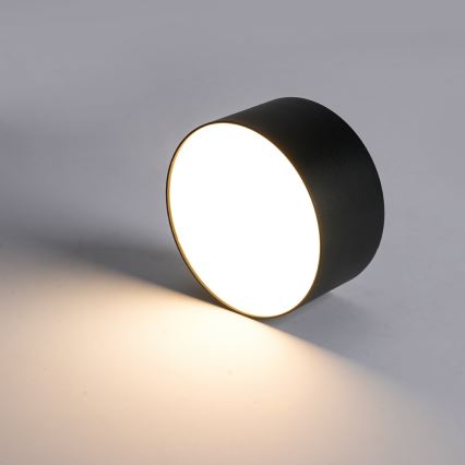 BRILAGI - LED lauko lubų šviestuvas FORIS LED/20W/230V skersmuo 15 cm juoda IP44