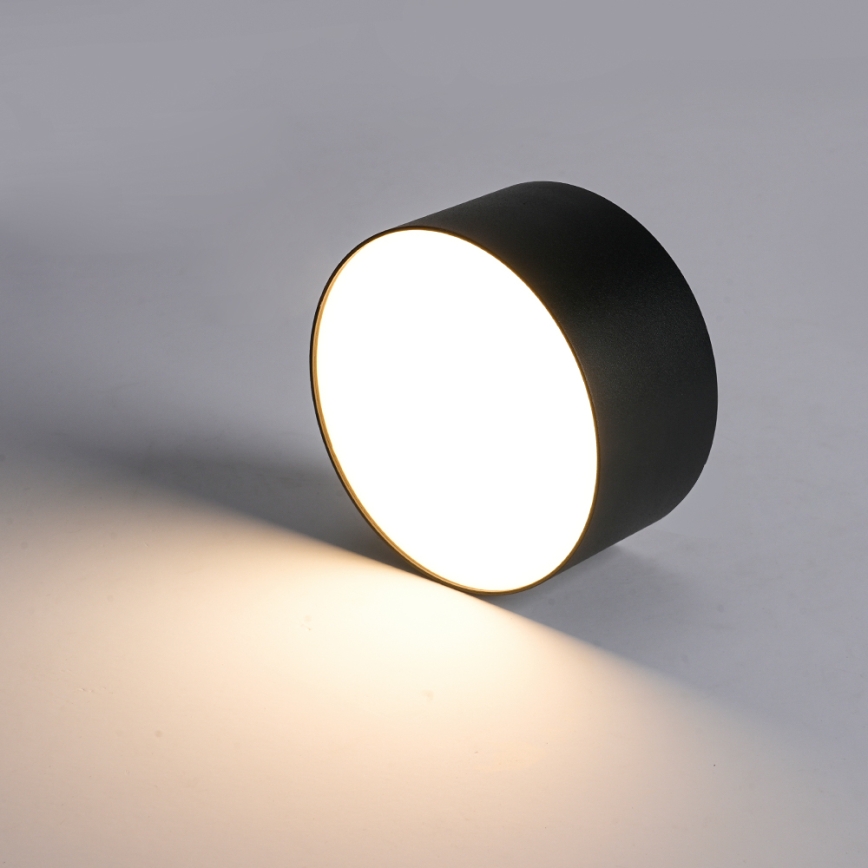 BRILAGI - LED lauko lubų šviestuvas FORIS LED/20W/230V skersmuo 15 cm juoda IP44