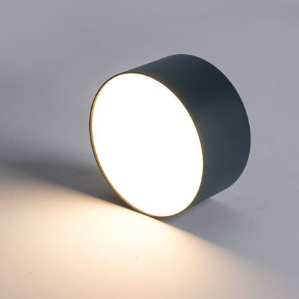 BRILAGI - LED lauko lubinis šviestuvas FORIS LED/20W/230V skersmuo 15 cm antracitas IP44