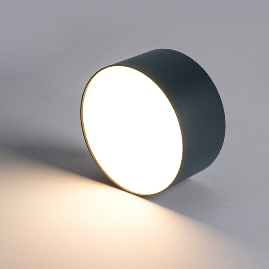 BRILAGI - LED lauko lubinis šviestuvas FORIS LED/20W/230V skersmuo 15 cm antracitas IP44