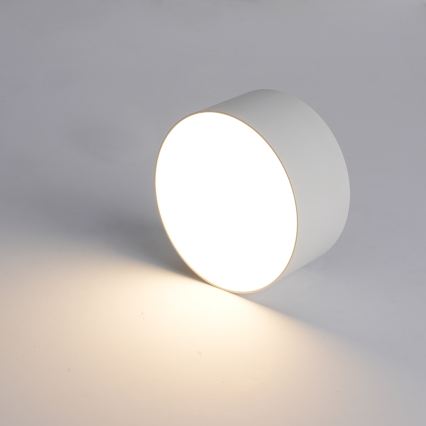 BRILAGI - LED Lauko lubinis šviestuvas FORIS LED/20W/230V Ø 15 cm baltas IP44