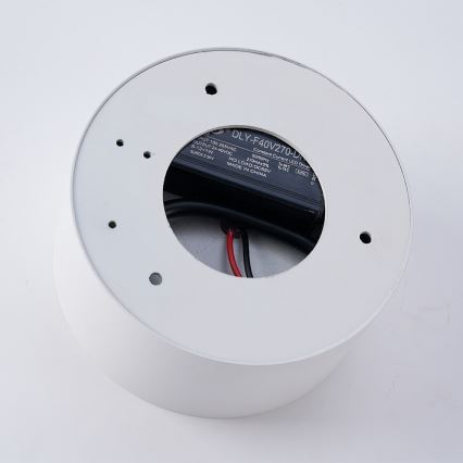 BRILAGI - LED Lauko lubinis šviestuvas FORIS LED/20W/230V Ø 15 cm baltas IP44