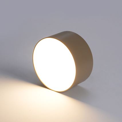 BRILAGI - LED Lauko lubų šviestuvas FORIS LED/20W/230V Ø 15 cm smėlio spalvos IP44
