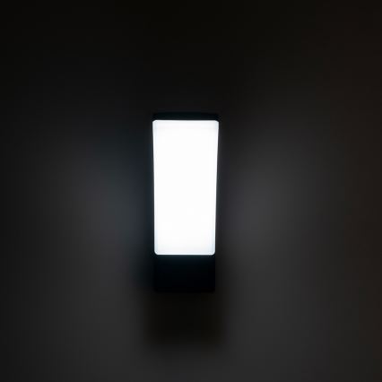 BRILAGI - LED Lauko sieninis šviestuvas ARCELO LED/12W/230V IP65 juodas