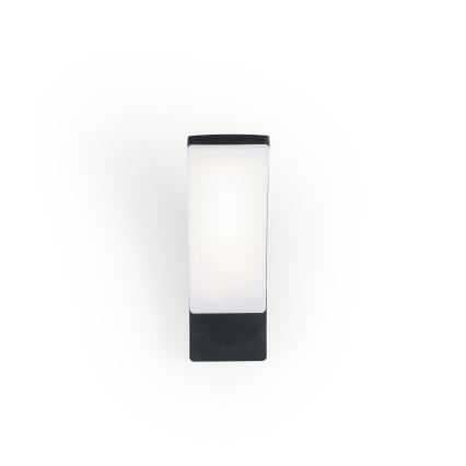 BRILAGI - LED Lauko sieninis šviestuvas ARCELO LED/12W/230V IP65 juodas