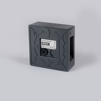 Brilagi - LED lauko sieninis šviestuvas DOUBLERAY LED/6W/230V antracitas IP54