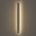 Brilagi - LED lauko sieninis šviestuvas LINEAR, 22 W, 230 V, 3000 K, IP65, 100 cm, antracitas