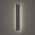 Brilagi - LED lauko sieninis šviestuvas LINEAR LED/12W/230V 4000K IP65 50 cm antracitas