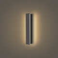 Brilagi - LED lauko sieninis šviestuvas LINEAR LED/8W/230V 3000K IP65 30 cm antracitas