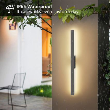 Brilagi - LED lauko sieninis šviestuvas LUNA LED/24W/230V 3000K IP65 100 cm antracitas CRI 90