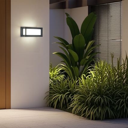 Brilagi - LED lauko sieninis šviestuvas PARKER LED/12W/230V 3000/4500/6000K antracitas IP44