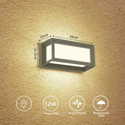 Brilagi - pilkas LED lauko sieninis šviestuvas PARKER LED/12W/230V 3000/4500/6000K IP44