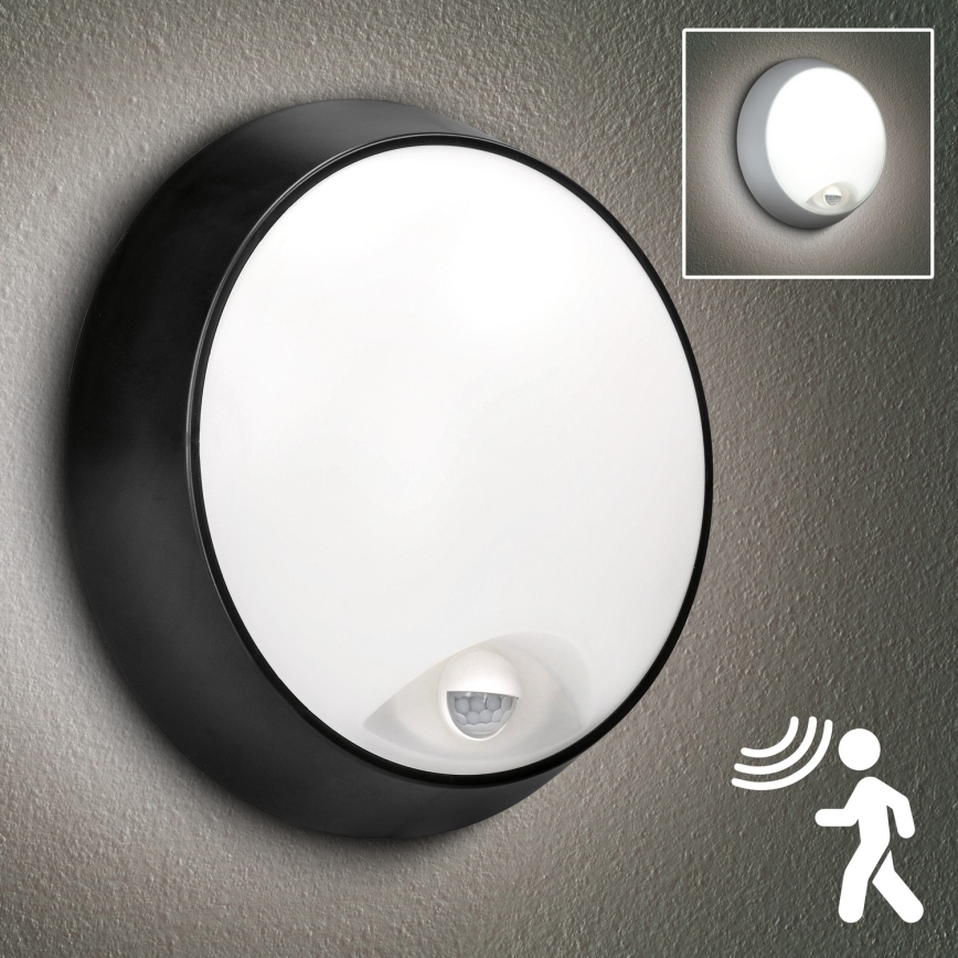 Brilagi - LED Lauko sieninis šviestuvas su jutikliu 2in1 BULKHEAD LED/20W/230V IP65
