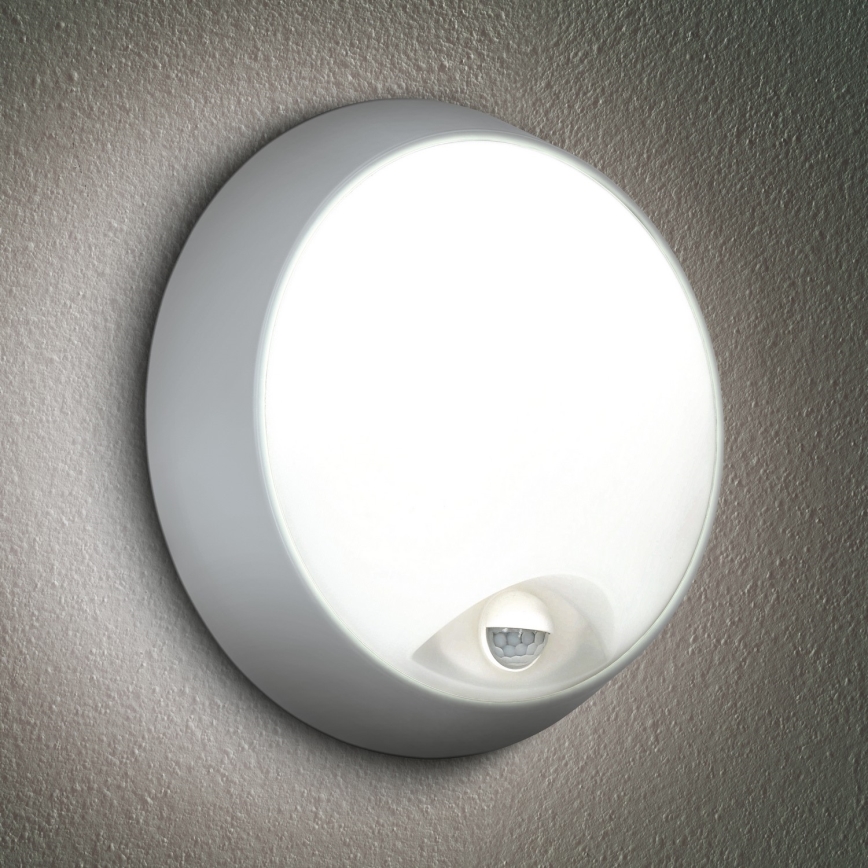 Brilagi - LED Lauko sieninis šviestuvas su jutikliu 2in1 BULKHEAD LED/20W/230V IP65