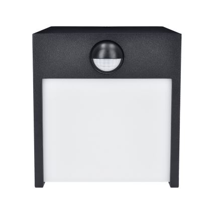Brilagi - LED Lauko sieninis šviestuvas su jutikliu TERNI LED/12W/230V juoda IP44