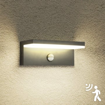 Brilagi - LED lauko sieninis šviestuvas su jutikliu TESSI LED/10W/230V antracitas IP54