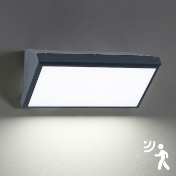Brilagi - LED lauko sieninis šviestuvas su jutikliu TRIANGLE LED/20W/230V antracitas IP65