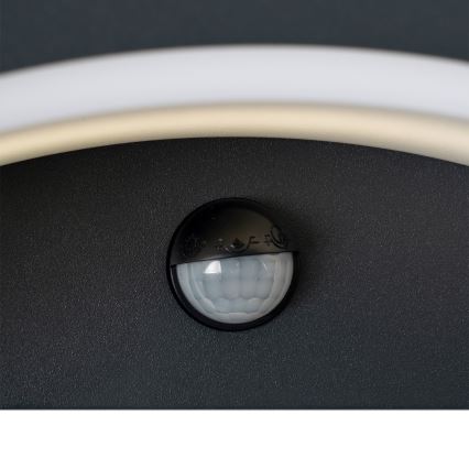 Brilagi - LED lauko sieninis šviestuvas su jutikliu ARCELO LED/8W/230V IP54