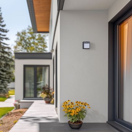 Brilagi - LED Lauko sieninis šviestuvas su jutikliu TERNI LED/12W/230V antracitas IP44